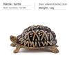 Aquatic Reptile Tortoise Pvc Model Set With Realistic Detailing For Educational Collection