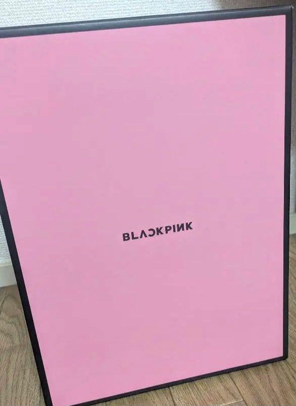 [USED] BLACKPINK penlight case