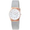 Skagen Grenen Lillie SKW3050 Women's Silver Watch