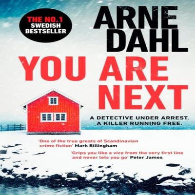 You Are Next by Arne Dahl Paperback Book 9781529111477