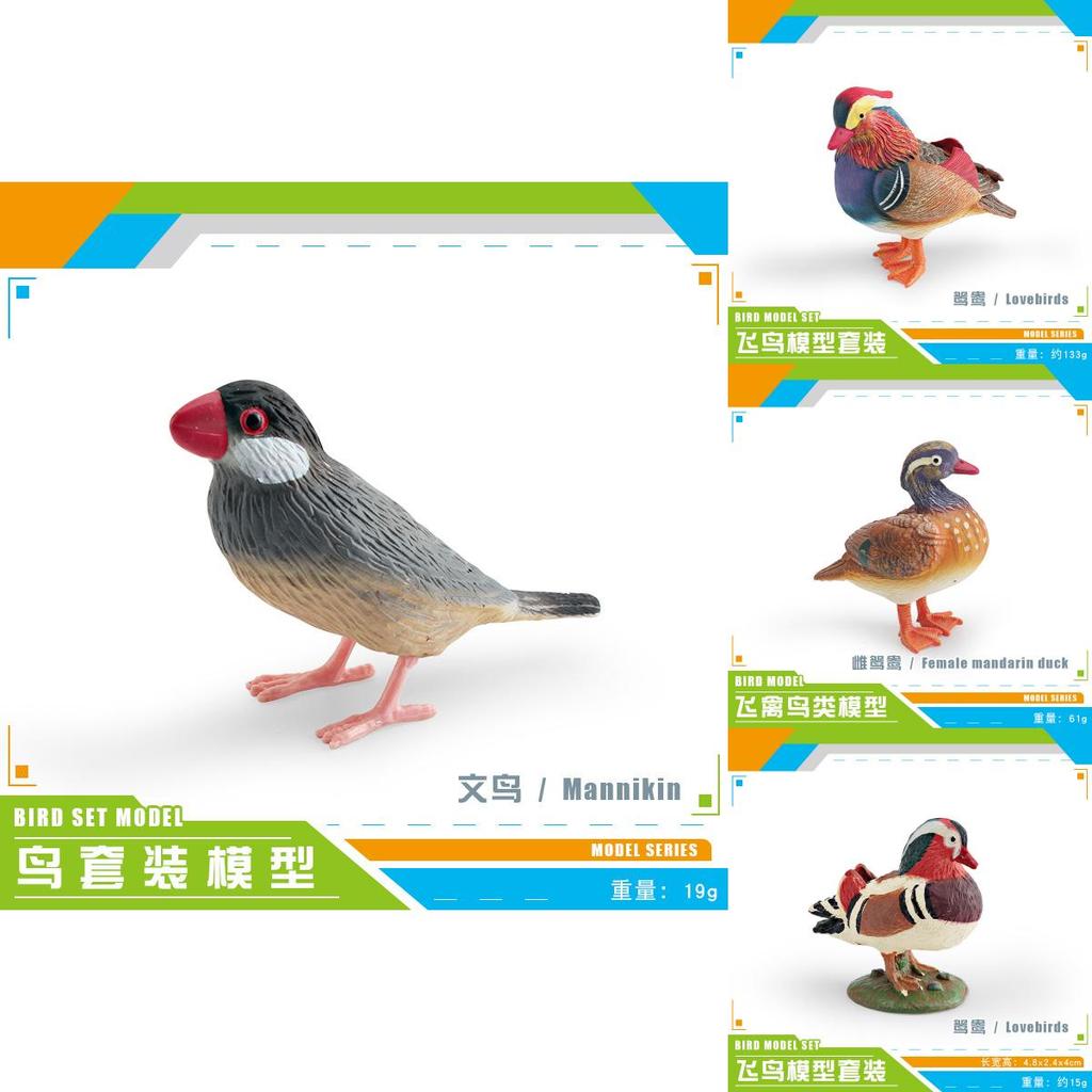 Mandarin Duck Bird Model Pvc Realistic Parrot Desktop Decor For Kids And Collectors