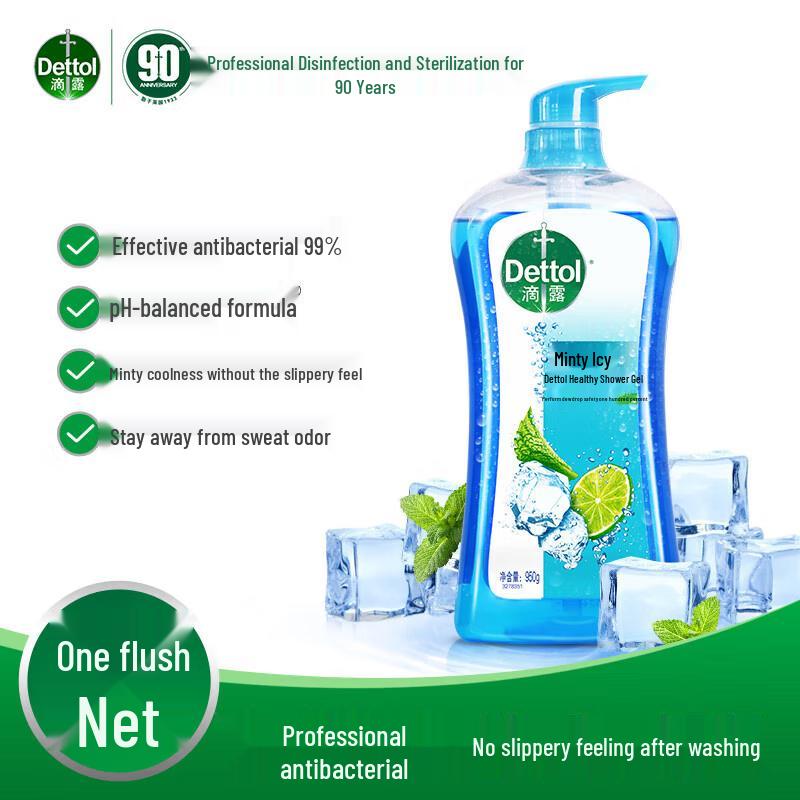 Dettol Healthy Body Wash, Mint Ice (Twin Pack)