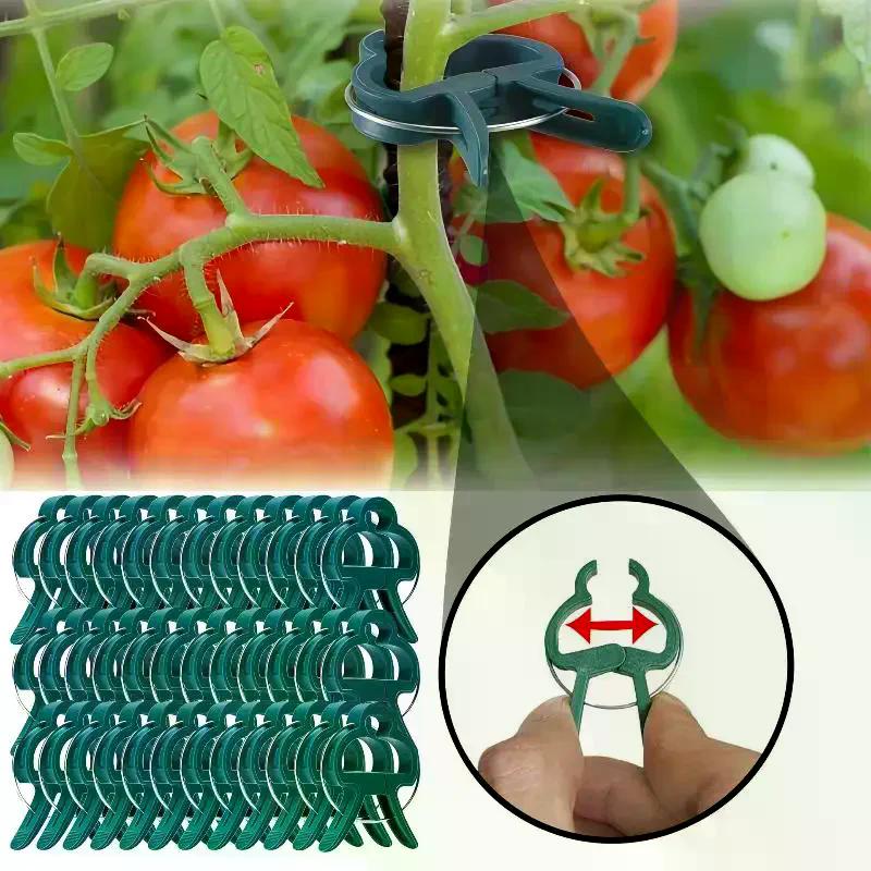 Plant Fixed Clips Reusable Garden Greenhouse Vine Climbing Clamp Flower Tomato Support Fastener No Break Firm Hold