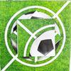 In Stock: Disposable Football Club Grass Print Party Napkins