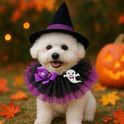 Ropa y calzado – Accesorios para perros