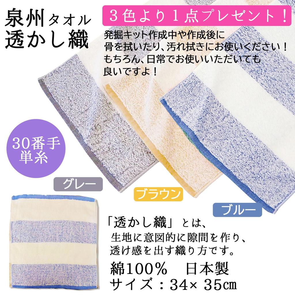 Excavation Dinosaur Ice Triceratops 1 Senshu towel wiping off for ages 6 and includes chisel and plastic independent science miscellaneous educational