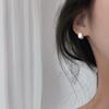 925 Silver Frosting Small Stud Earrings For Women Luxury Wedding Jewelry Piercing Earring Money 925
