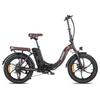 FAFREES F20 Pro Electric Bicycle 250W Motor, 36V 18Ah Battery, 20*3.0 Inch Tire, IP54 Waterproof, 80-100KM Range E-bike