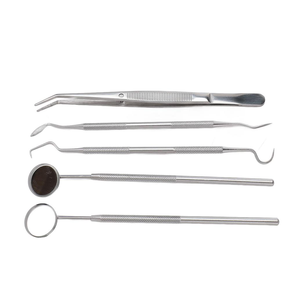 5pcs Professional Oral Health Care Pick Tools Stainless Steel Teeth Cleansing Calculus Remover Tool