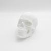3D Printed Skull Trailer Coupling Cap Towing Hitches Cover Trailer Hitch Ball Cover Prevent Receiver Tube from Rusting