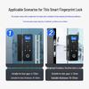 Realand ZD208D Smart Fingerprint Access Control Lock CN plug (adapter included)