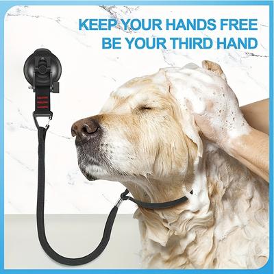 Cani – Prodotti per la cura dei cani