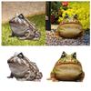 Frog Figurine Landscape Funny Animal Sculpture for Patio Countertop Tabletop