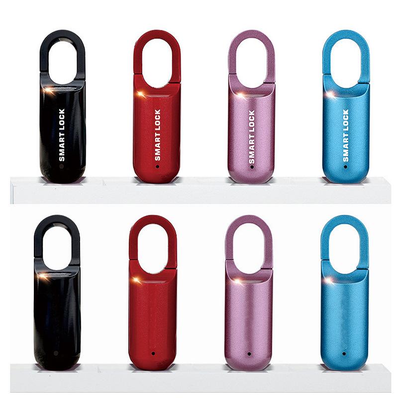Compact Fingerprint Padlock for Backpacks, Luggage, Dorms, and Cabinets