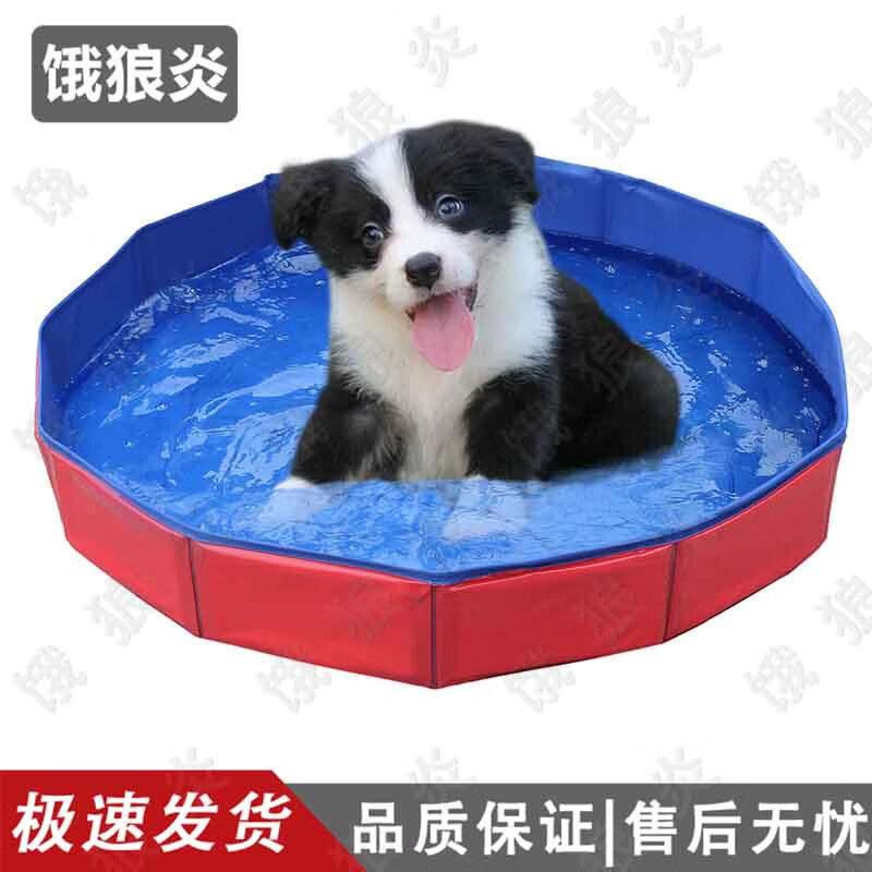 Foldable Multi-Purpose Pet & Kids Pool