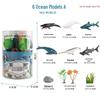 Ocean Crab Simulation Toy Set: Includes Hermit, Swimming, and Three-Spot Plastic Models
