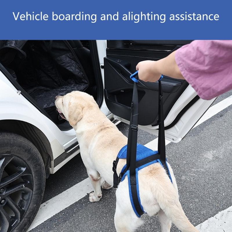 Pet Rear Leg Support Assistance Strap With Upgraded Design Auxiliary Belt For Joint Pressure Relief And Easy Movements