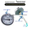 Axial Bimetallic Thermometer Gauge, Stainless Steel, for Industrial Boiler and Pipeline Temperature Measurement (WSS303/401/501).