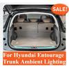 Освітлення багажника, Навколишнє освітлення, Освітлення задніх дверей, Вітальні вогні, Світлодіодне, Внутрішнє, Безпошкодне встановлення, Для Hyundai Entourage