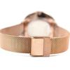 Skagen Watch Karolina SKW2688 White Dial Rose Gold Mesh 38mm Women's