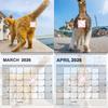 2026 Cute Cats Hanging Calendar Cat Ball Calendar For Cat Lovers 12 Months Funny Cat Moments Hangable Wall Calendar