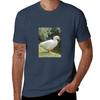 The Goose Tshirt Unisex T Shirt Cotton 100 T Shirt Unisex Designer Cotton T Shirt Unisex Tshirt