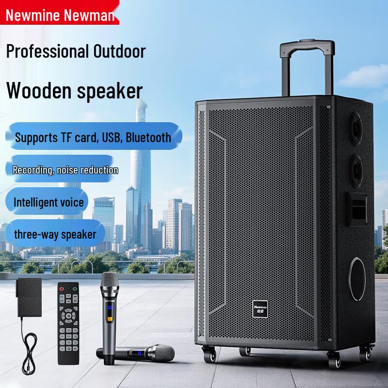 Newmine N539 15-inch Portable Bluetooth Trolley Speaker with Dual Mics CN plug (adapter included) (CN version)