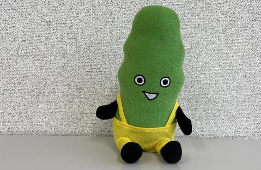 Konbu Brothers (Sukkii & Enzo) Enzo Plush Toy, Large, Blue Country Style, 65g