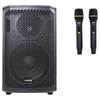 Malata Portable Karaoke Speaker with Sound Card (CN Version)