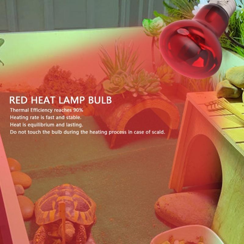 Reptile Heat Lamp Bulb E27 UVA Amphibian Basking Day And Night Heating Light Bulb For Bearded Dragon Lizard 220 To 240V Red