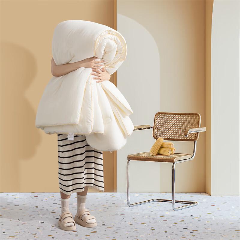 

Mercury Home Textiles Winter Goose Down Duvet