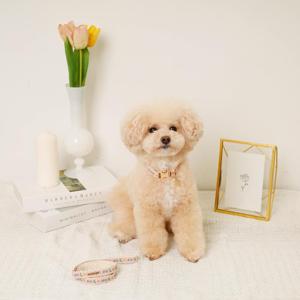 Charm Embroidered Collar Lead Dog Collar for Small Dogs Popular Brand for Toy Poodles and Chihuahuas Monchéri [Flower + Set] (FREE/Pink) Cute,