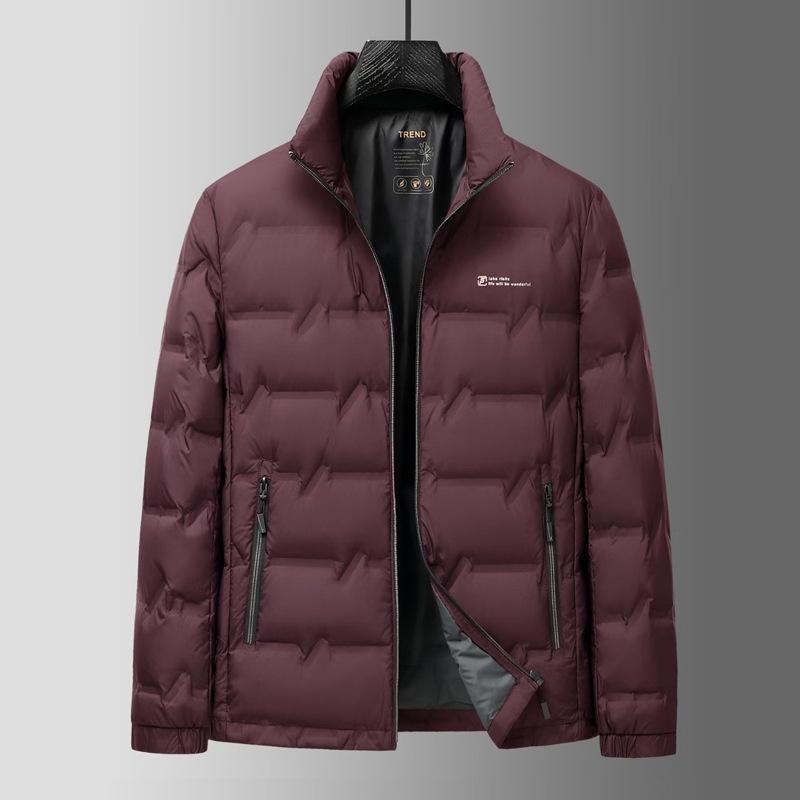 Men's Lightweight Duck Down Jacket - Stand Collar, Winter Warm, Ideal for Business & Casual Wear