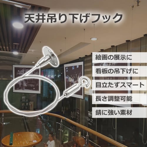 lifactlab. Wire Hooks, Ceiling Hanging Hooks, Fall Prevention Wire Picture Rail Hanging Hardware, Adjustable Length, 1.5m x 2 (1.5m x 2)