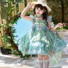 Little Girl Flower Fairy Princess Dress - Summer Birthday Party Outfit