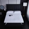 Tapis de couchage extérieur rembourré portable
