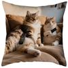 Vibrant Bohemian Style Short Plush Pillow Cover 45x45cm Charming Kitten Living Room Bedroom Decor (Pillow Insert Not Included)