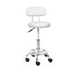 Salon Stools Artiss Salon Stool Swivel Barber Chair Backrest Hairdressing Hydraulic Height