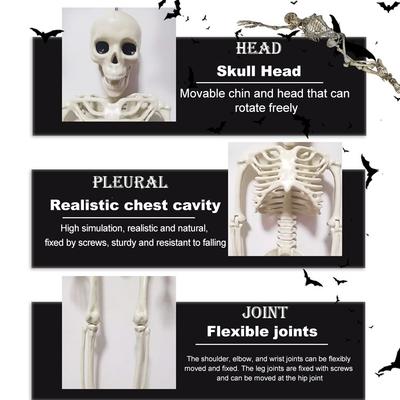 Halloween Posable Full Body Skull with Movable Joints 16/24in Model Skeleton Figure Festival Theme Graveyard Haunted House Decor