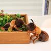 PP Cotton Lilttle Ant Plush Toys Stuffed Animal Ant Plush Doll Animal Stuffed Toys  Home Decor