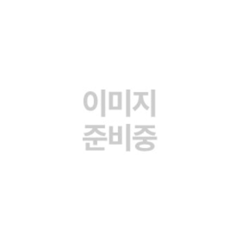

CNBLUE 2014 Season Greetings [Wall Calendar]