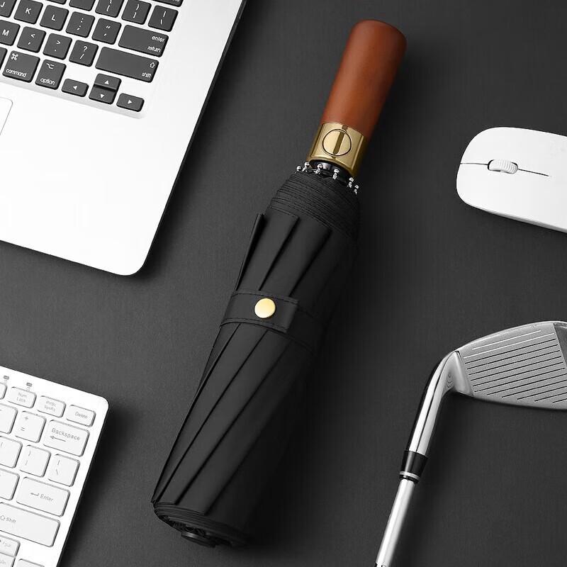 MAYDU Automatic 10-Rib Folding Windproof Umbrella