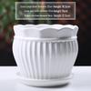 Simple White Ceramic Flower Pot with Base for Indoor Plants - Available in Large and Extra Large
