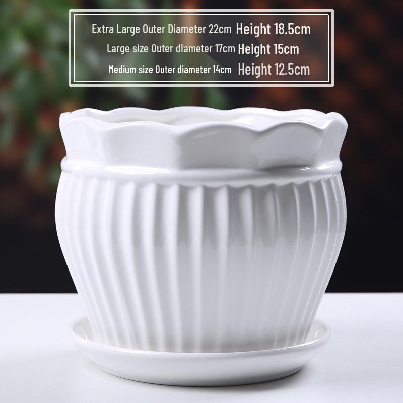 Simple White Ceramic Flower Pot with Base for Indoor Plants - Available in Large and Extra Large