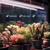 LED Full Spectrum Plant Grow Light