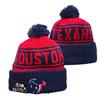 Lion Rugby Knit Hat, Dolphin Outdoor Warm Sun Hat, 49ers Hip Hop Ear Protection Hat