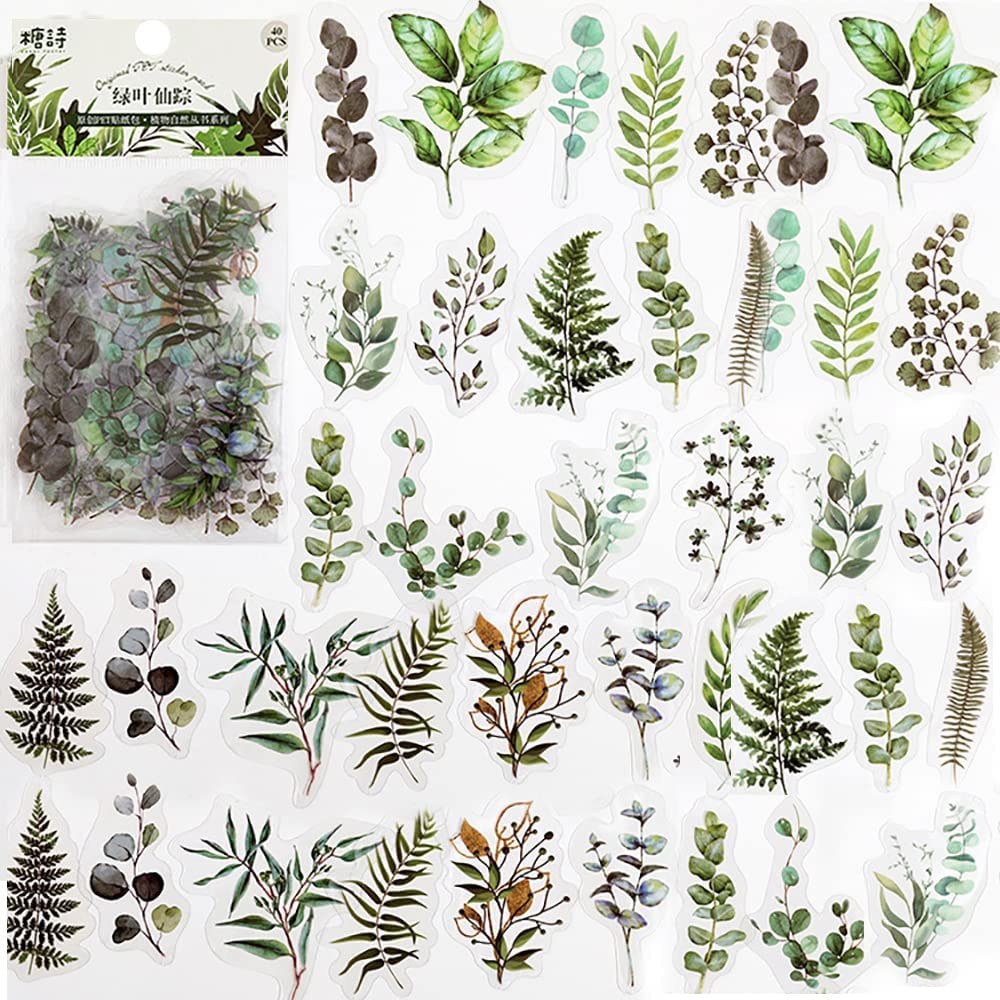 40 Pcs Scrapbook Stickers PET Transparent Flower  Nature Floral  Journal Photo Album Diary DIY Art Crafts