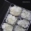 Natural Full-Cover Toenail Tips, No-Trace False Nails, Natural Color, 500 Pieces