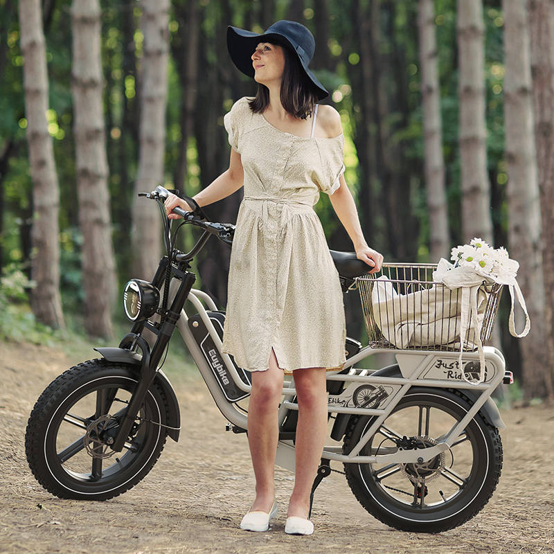 Euybike W1 1000W Motor 48V30AH+30AH Dual Samsung Battery 20 * 4.0-inch Tire Maximum Speed 50KM/H Hydraulic Brake Electric Bicycle