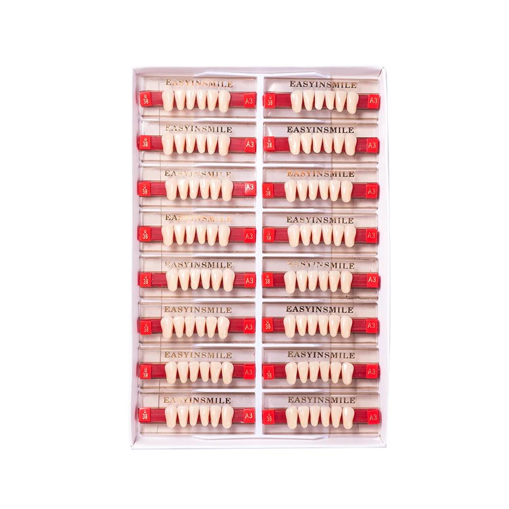 16/12 Sätze/Karton Zahnprothese Zähne Oberkiefer Frontzähne Unterkiefer Seitenzähne Dentier Synthetisches Polymerzähne Zahnmedizinische Ausbildungsmodell